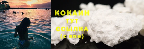 трава Богородицк
