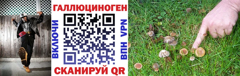 kraken сайт  купить наркоту  Ачхой-Мартан  Псилоцибиновые грибы ЛСД 